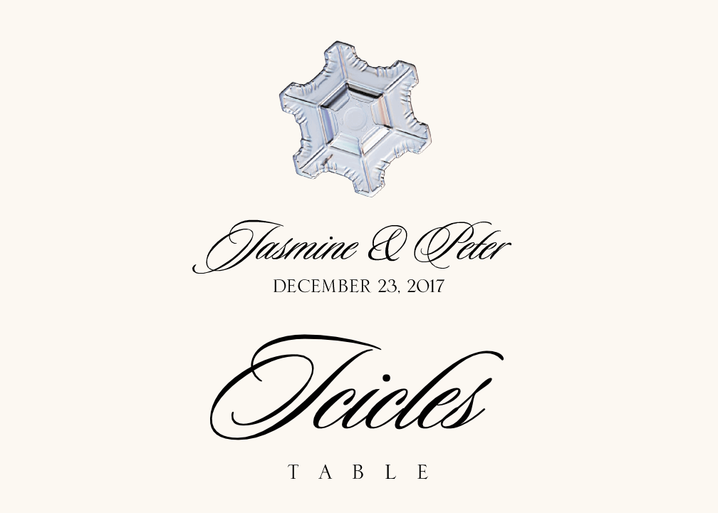 Winter Snowflake Assortment Wedding Table Names, Winter Table Name